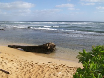 Kauai Beach